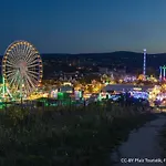 Casa vacanze Tinyhouse Pfalzperle - Auszeit Nahe Deutsche Weinstrasse & Therme Ellerstadt