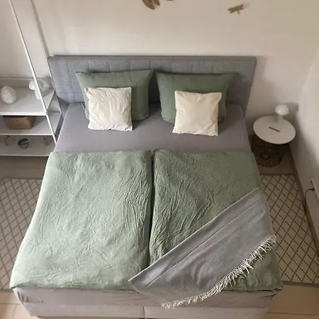Tinyhouse Pfalzperle Region Deutsche Weinstrasse Ellerstadt