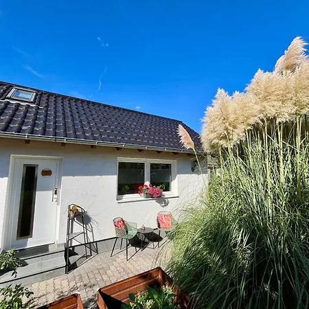 Tinyhouse Pfalzperle - Auszeit Nahe Deutsche Weinstrasse & Therme Σπίτι διακοπών *