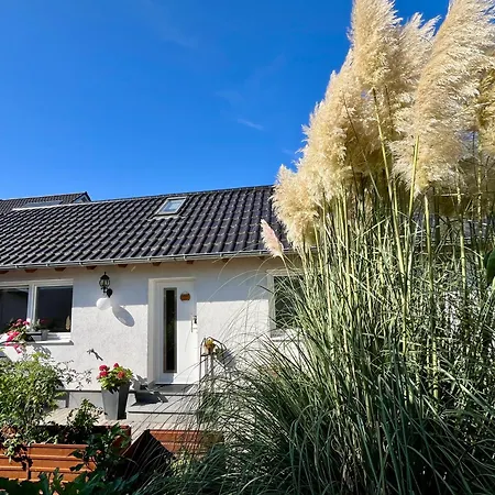 Tinyhouse Pfalzperle - Auszeit Nahe Deutsche Weinstrasse & Therme
