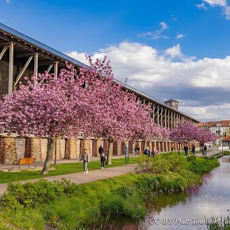 Casa vacanze Tinyhouse Pfalzperle - Auszeit Nahe Deutsche Weinstrasse & Therme