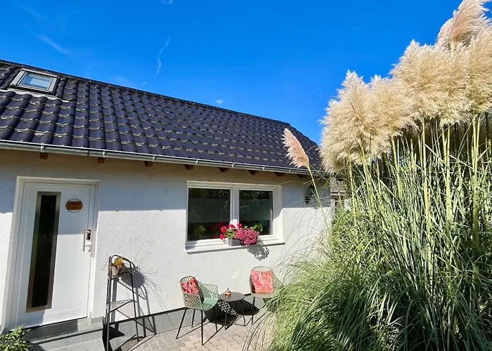Tinyhouse Pfalzperle - Auszeit Nahe Deutsche Weinstrasse & Therme Dom wakacyjny *