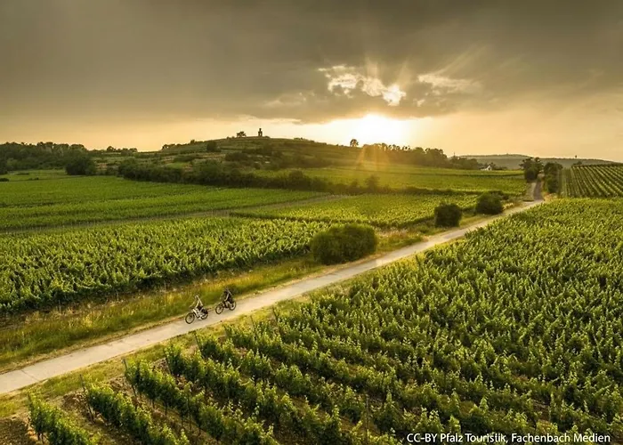 Tinyhouse Pfalzperle - Auszeit Nahe Deutsche Weinstrasse & Therme Dom wakacyjny *