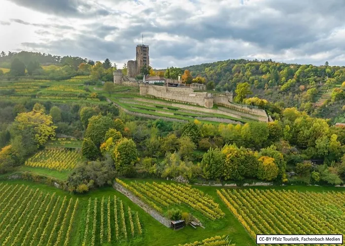Tinyhouse Pfalzperle - Auszeit Nahe Deutsche Weinstrasse & Therme Dom wakacyjny *