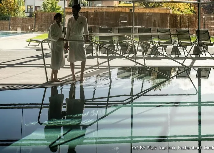 Dom wakacyjny Tinyhouse Pfalzperle - Auszeit Nahe Deutsche Weinstrasse & Therme Ellerstadt