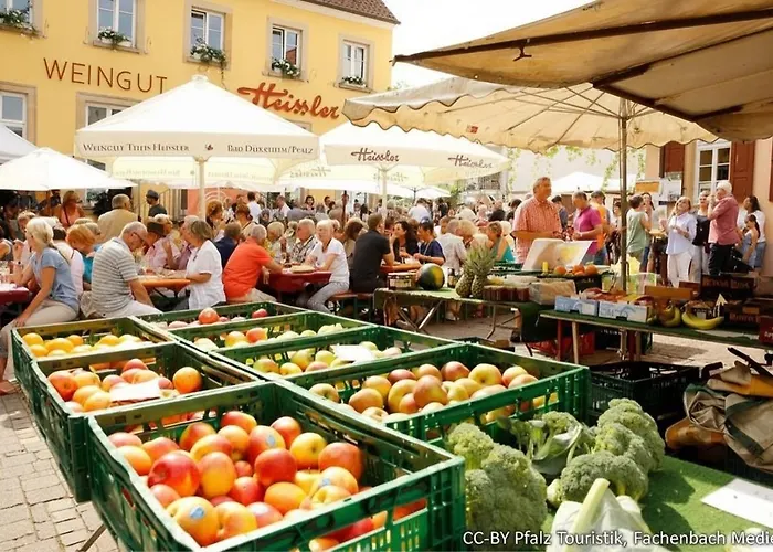 Tinyhouse Pfalzperle - Auszeit Nahe Deutsche Weinstrasse & Therme Dom wakacyjny Ellerstadt